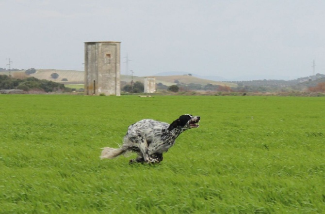 Iratiko - Andalousie 2015